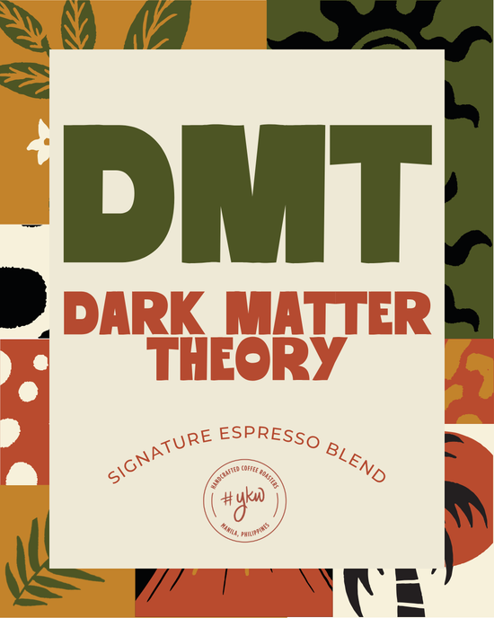 DARK MATTER THEORY